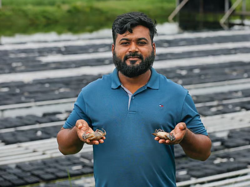 কপোতাক্ষের পাড়ে ইউরোপীয় কায়দায় কাঁকড়া চাষ, রপ্তানি হচ্ছে অস্ট্রেলিয়ায়